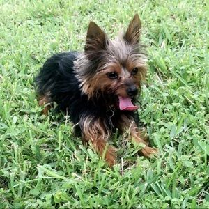 Meet your Posher, Torie